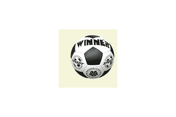 Мяч футбольний Winner Speedy - LvivMarket.net