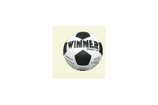 Мяч футбольний Winner Speedy Top - LvivMarket.net