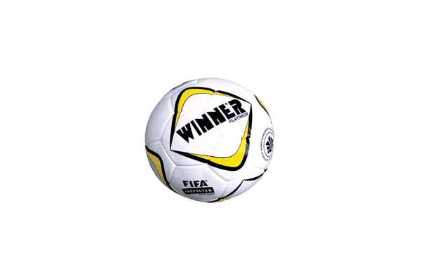 Мяч футбольний Winner Platinum - LvivMarket.net