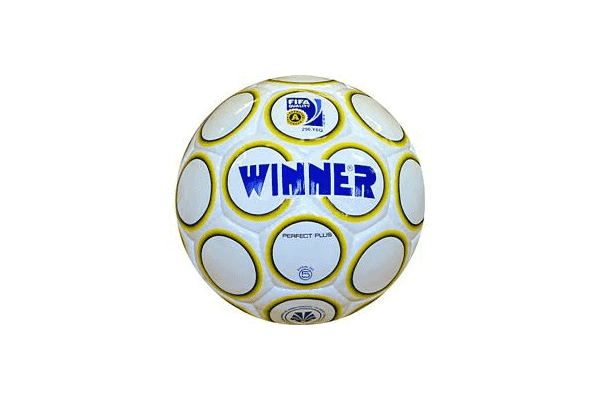 Мяч футбольний Winner Perfect Plus - LvivMarket.net