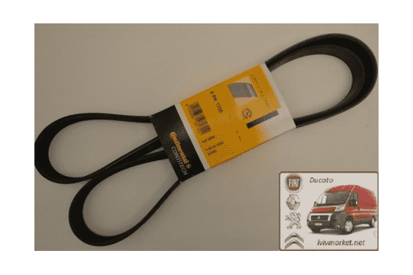 Ремень ручейковый Ситроен Берлинго / Citroen Berlingo M59  CONTITECH 6 PK 1705 - ЛьвівМаркет Ремень ручейковый Ситроен Берлинго / Citroen Berlingo M59  CONTITECH 6 PK 1705 - LvivMarket.net