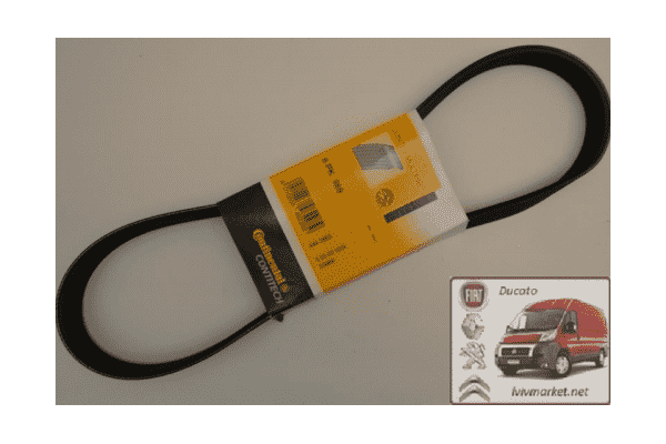 Ремень ручейковый 6 PK 869 Пежо Эксперт / Peugeot Expert CONTITECH 6 PK 869 - ЛьвівМаркет Ремень ручейковый 6 PK 869 Пежо Эксперт / Peugeot Expert CONTITECH 6 PK 869 - LvivMarket.net
