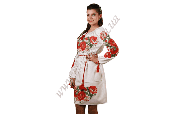 Жіноча вишита сукня СК6101 - LvivMarket.net