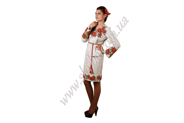 Жіночий вишитий костюм СК5111 - LvivMarket.net