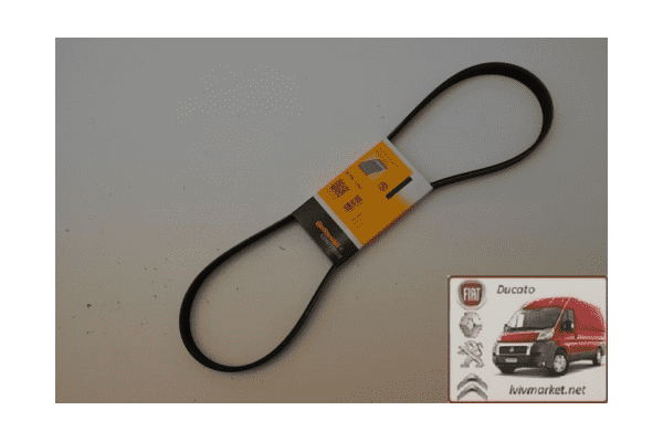 Ремень ручейковый 6 PK 1153 Fiat Ducato CONTITECH 6 PK 1153 - ЛьвівМаркет Ремень ручейковый 6 PK 1153 Fiat Ducato CONTITECH 6 PK 1153 - LvivMarket.net