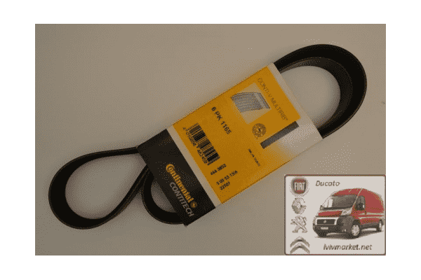 Ремень ручейковый 6 PK 1165 Ситроен Джампер / Citroen Jumper III (2006-……) CONTITECH 6 PK 1165 - ЛьвівМаркет Ремень ручейковый 6 PK 1165 Ситроен Джампер / Citroen Jumper III (2006-……) CONTITECH 6 PK 1165 - LvivMarket.net