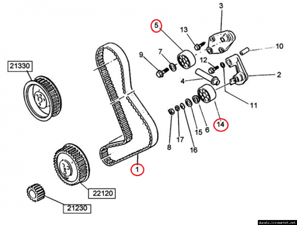 Ремень ГРМ на Fiat Ducato (Фиат Дукато)